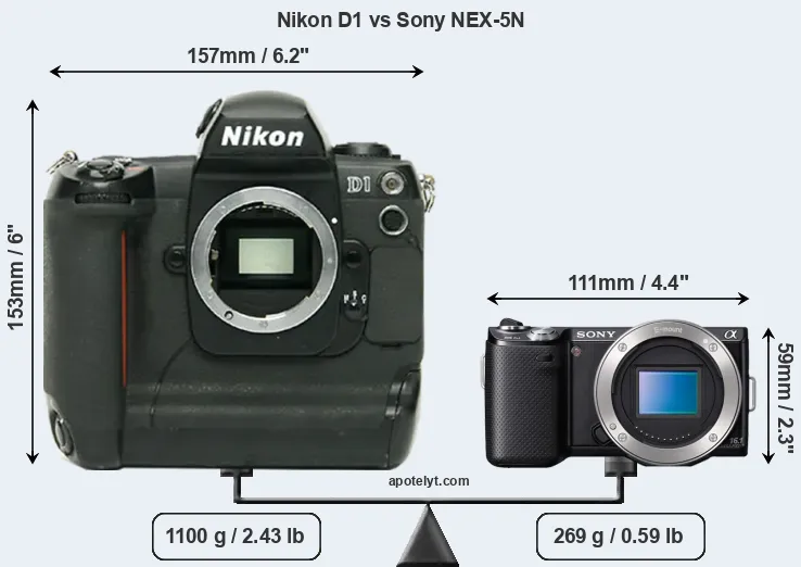 Size Nikon D1 vs Sony NEX-5N
