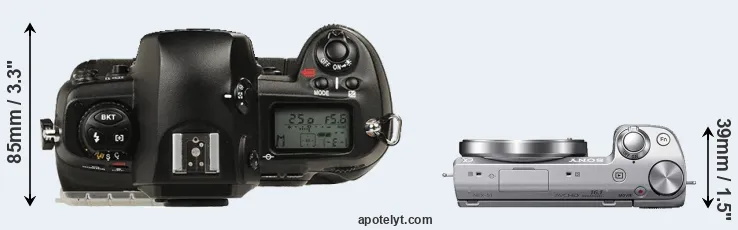 Compare D1 versus NEX-5T top