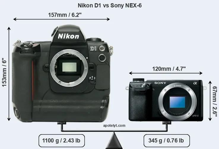 Size Nikon D1 vs Sony NEX-6