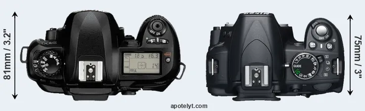 Compare D100 versus D3100 top
