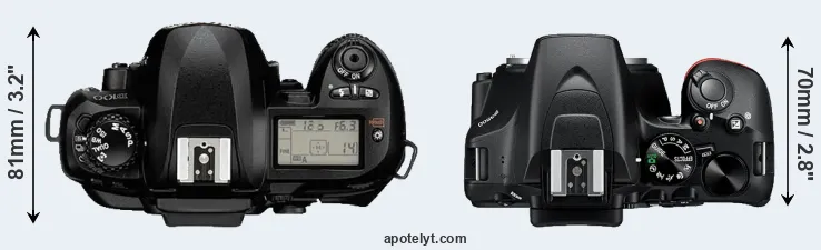 Compare D100 versus D3500 top