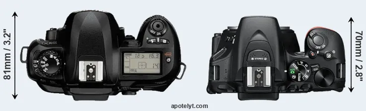 Compare D100 versus D5600 top