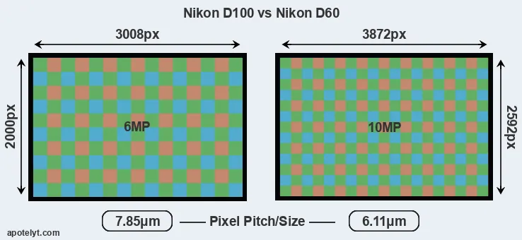 D100 versus D60 MP