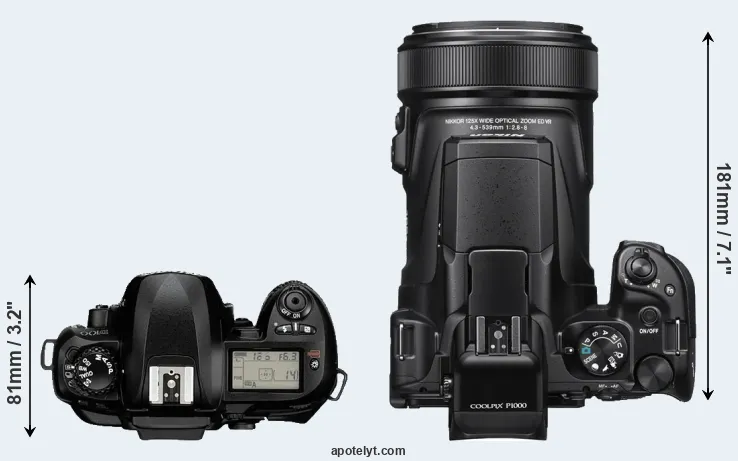 Compare D100 versus P1000 top