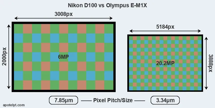 D100 versus E-M1X MP
