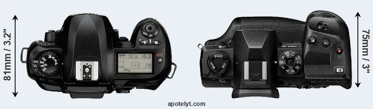 Compare D100 versus E-M1X top