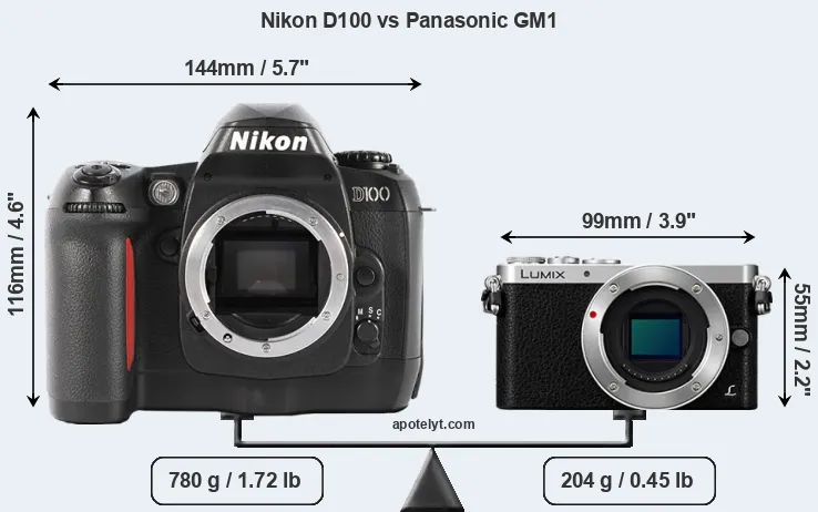 Size Nikon D100 vs Panasonic GM1