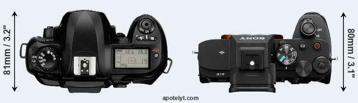 Compare D100 versus A7 IV top