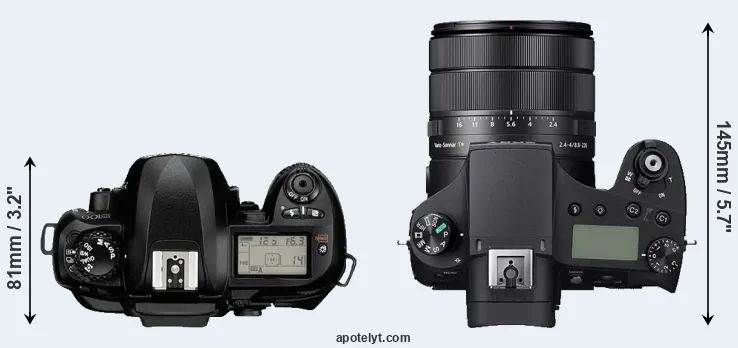 Compare D100 versus RX10 IV top