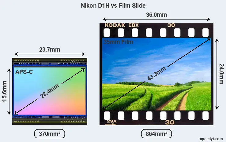 Nikon D1H sensor measures