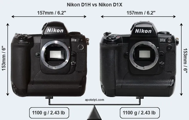 Size Nikon D1H vs Nikon D1X