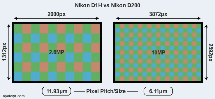 D1H versus D200 MP