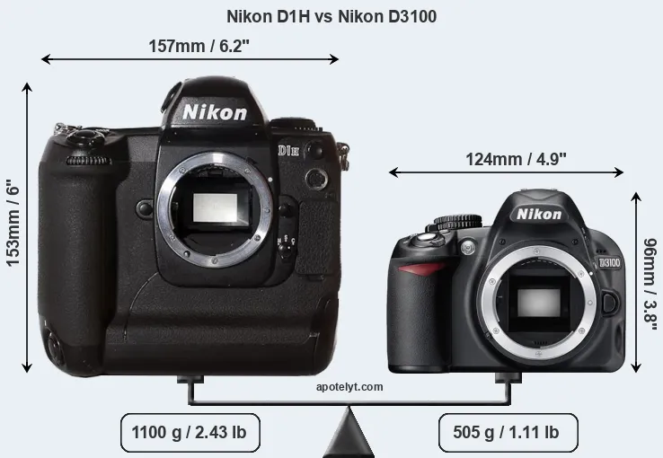 Size Nikon D1H vs Nikon D3100