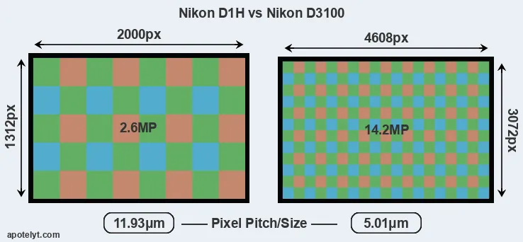 D1H versus D3100 MP