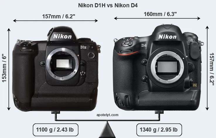 Size Nikon D1H vs Nikon D4