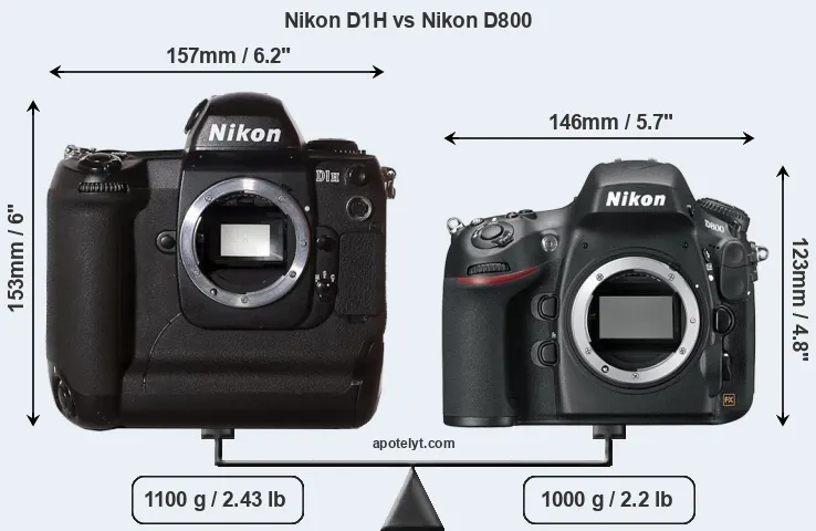 Size Nikon D1H vs Nikon D800