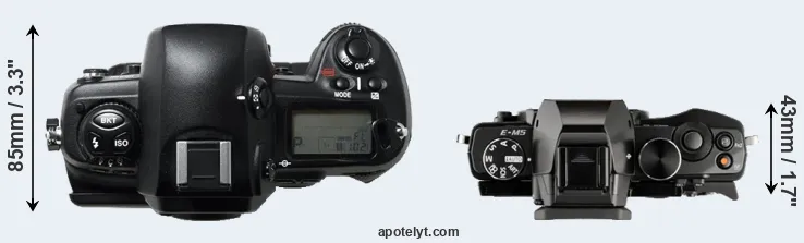 Compare D1H versus E-M5 top