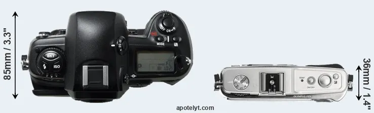 Compare D1H versus E-P1 top