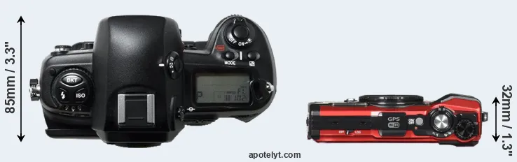 Compare D1H versus TG-5 top