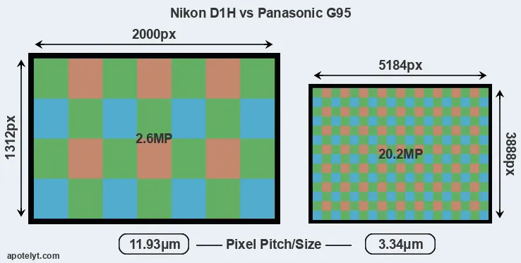 D1H versus G95 MP
