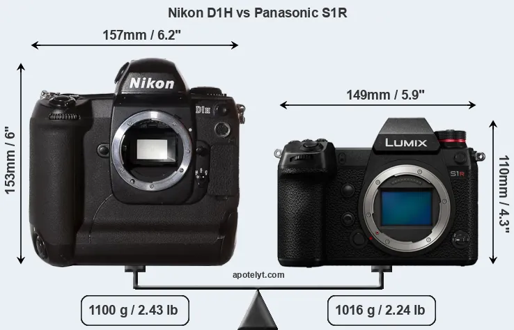 Size Nikon D1H vs Panasonic S1R