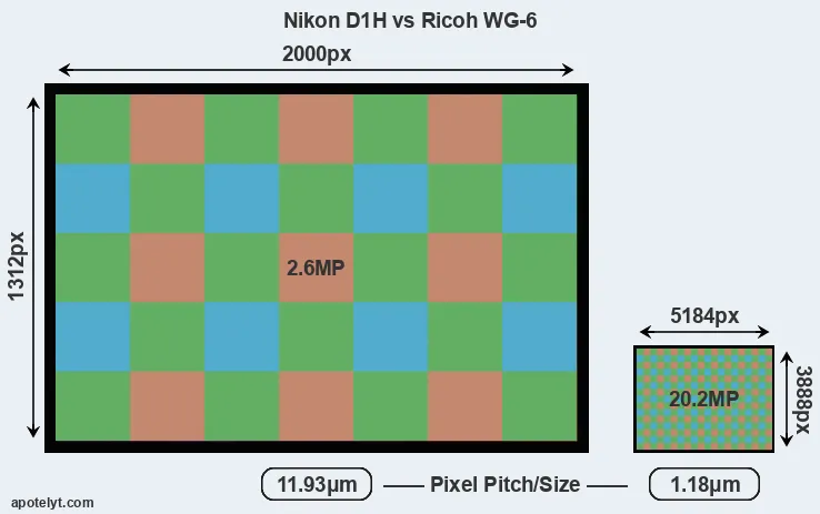 D1H versus WG-6 MP