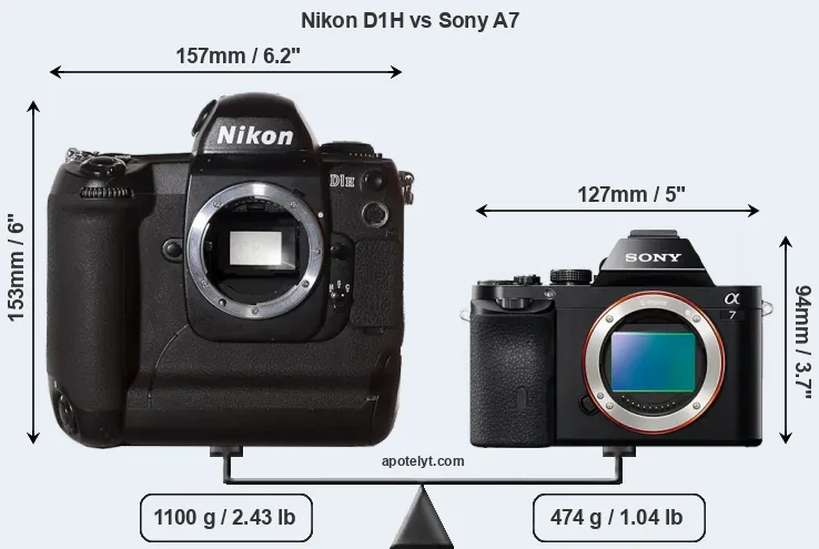 Size Nikon D1H vs Sony A7