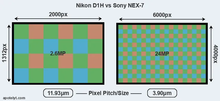 D1H versus NEX-7 MP