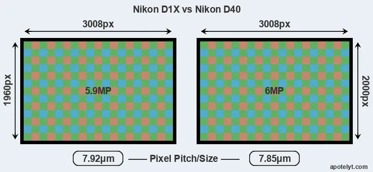 D1X versus D40 MP