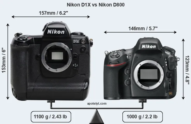 Size Nikon D1X vs Nikon D800