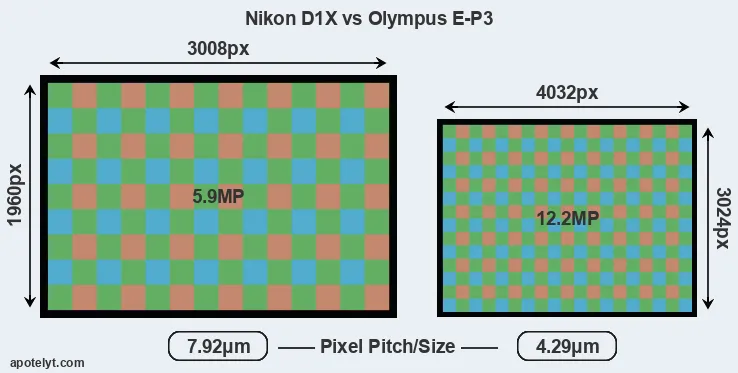 D1X versus E-P3 MP