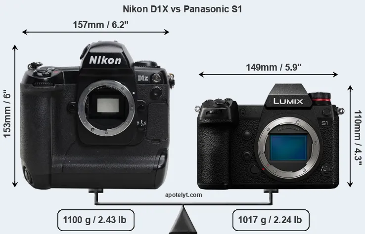 Size Nikon D1X vs Panasonic S1