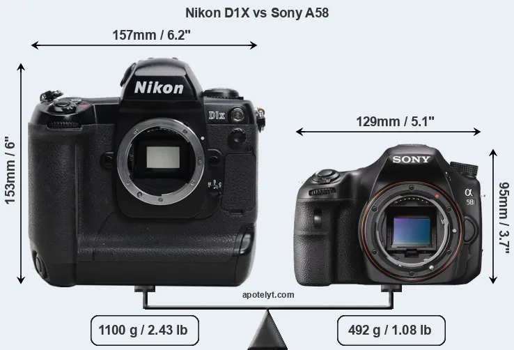 Size Nikon D1X vs Sony A58