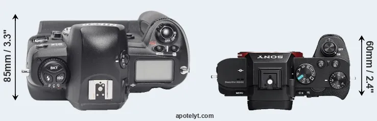 Compare D1X versus A7 II top