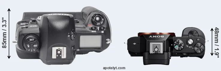 Compare D1X versus A7 top