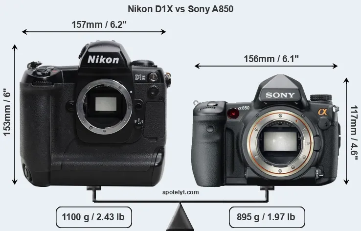 Size Nikon D1X vs Sony A850