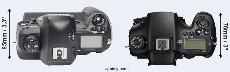 Compare D1X versus A99 II top
