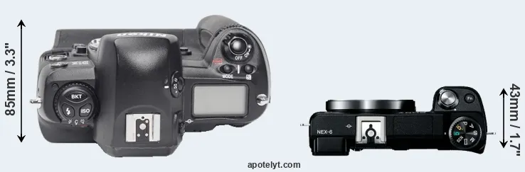Compare D1X versus NEX-6 top