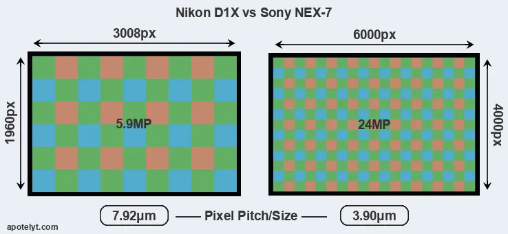 D1X versus NEX-7 MP