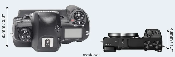 Compare D1X versus NEX-7 top