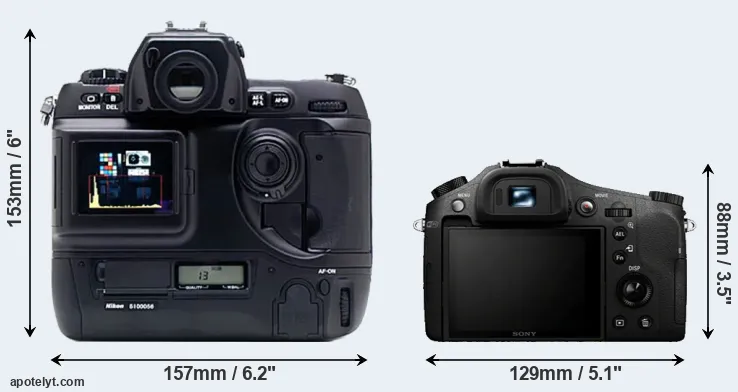 Comparison D1X or RX10 rear