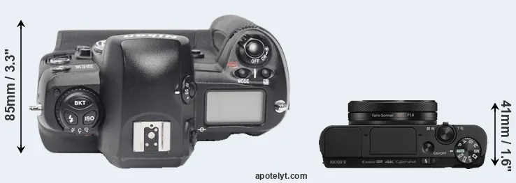 Compare D1X versus RX100 V top