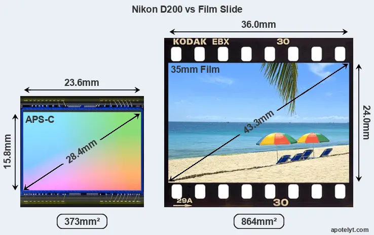 Nikon D200 and Credit Card sensor measures