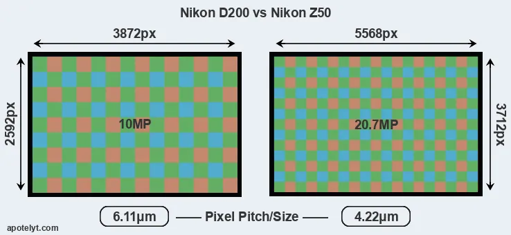 D200 versus Z50 MP