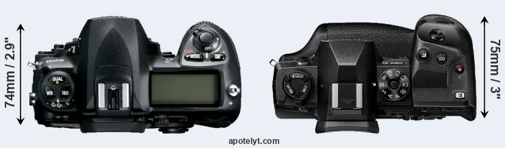 Compare D200 versus E-M1X top
