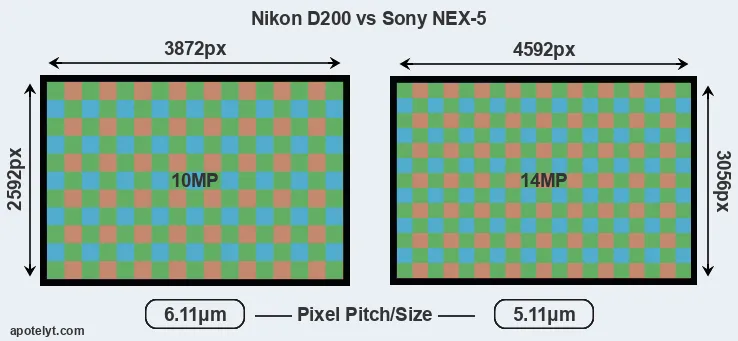D200 versus NEX-5 MP