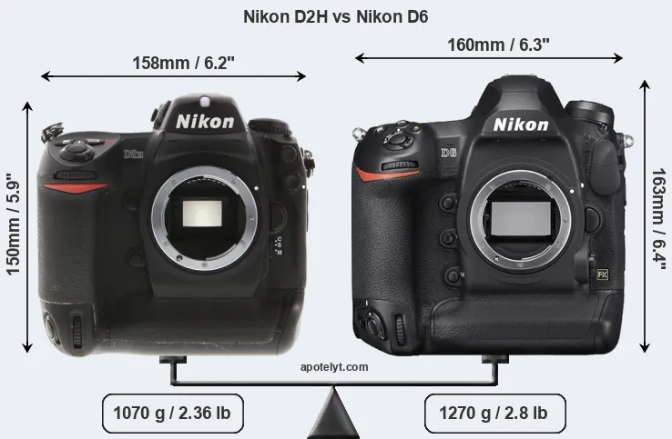 Size Nikon D2H vs Nikon D6