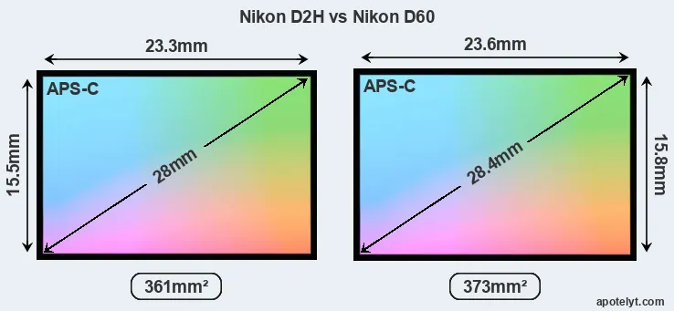 Nikon D2H and Nikon D60 sensor measures