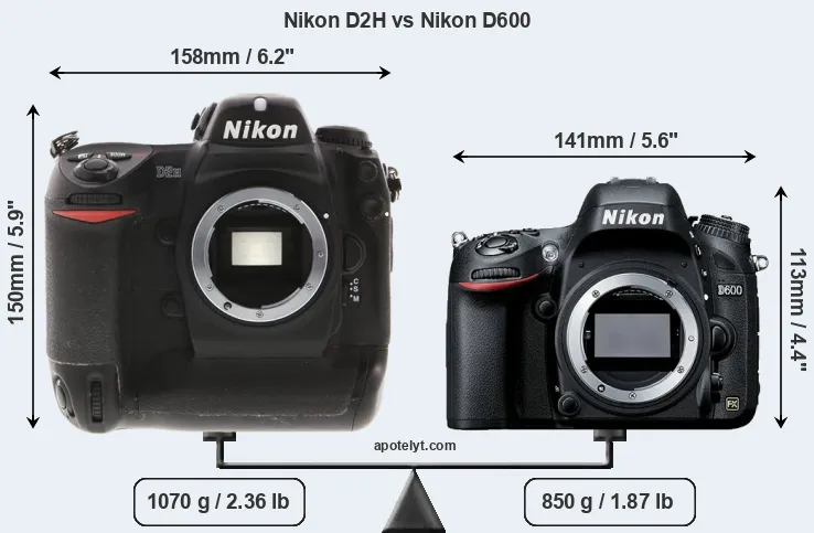 Size Nikon D2H vs Nikon D600