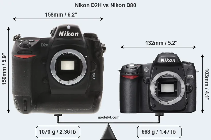 Size Nikon D2H vs Nikon D80